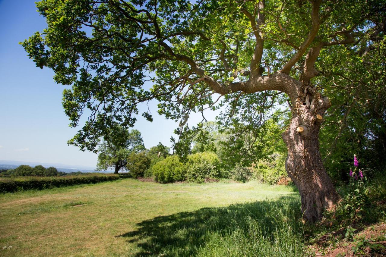 فيلا Little Idyll Shepherds Hut تشيستر المظهر الخارجي الصورة